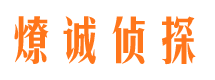 柳河市调查公司